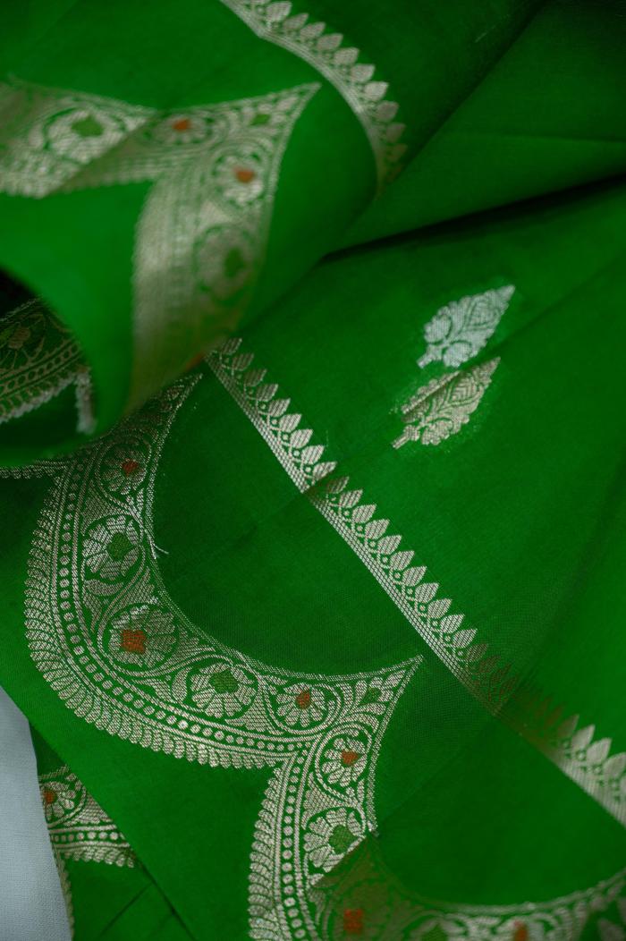 Raw Mango Silk Twin Booti Saree in Mehendi & 7 Colors