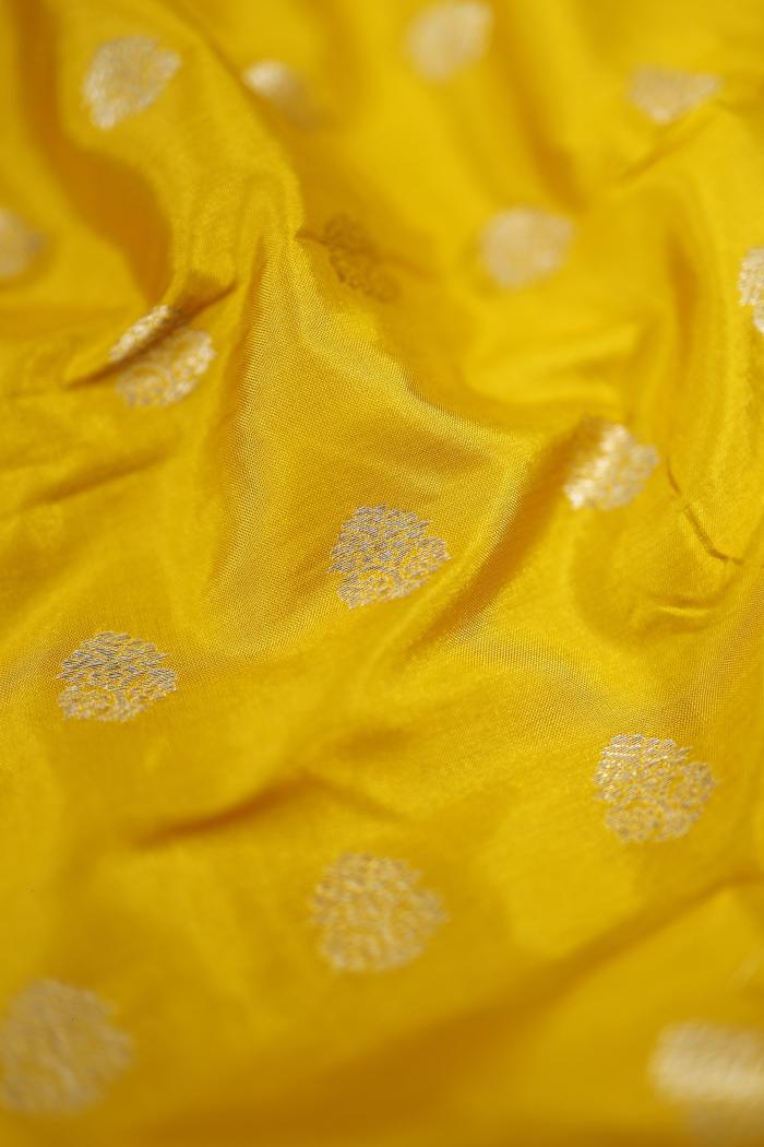 Banarasi Katan Cutwork Contrast Silk Saree