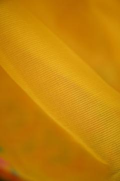 Supernet Weave Golden Yellow Banarasi Saree